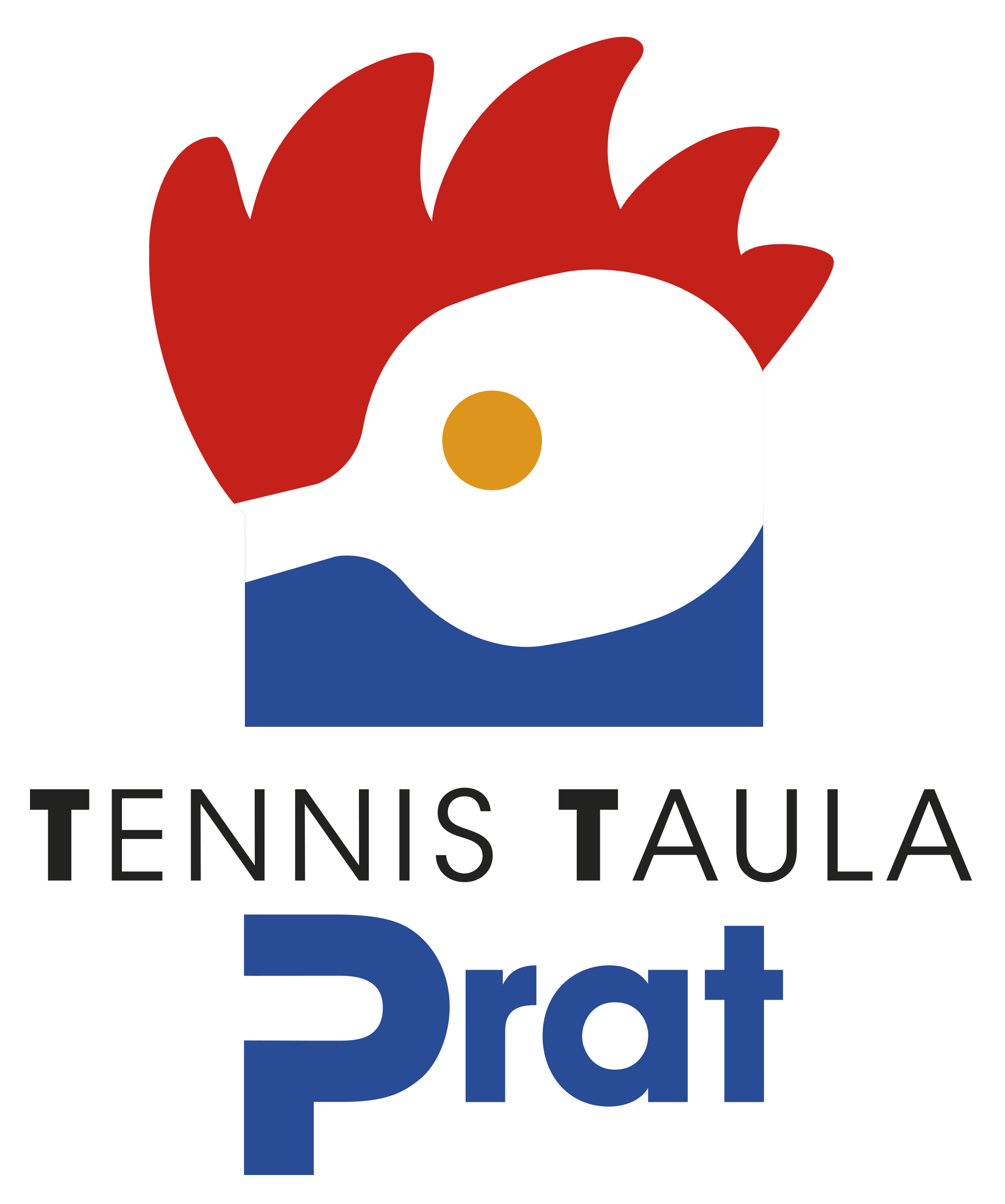 Tennis Taula Prat